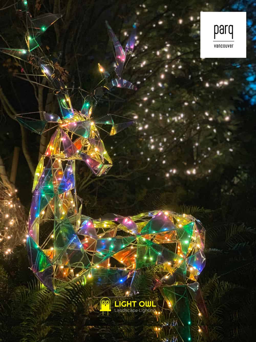 Christmas Lighting image