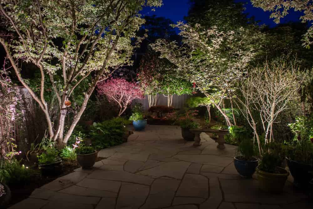 Backyard Lighting image
