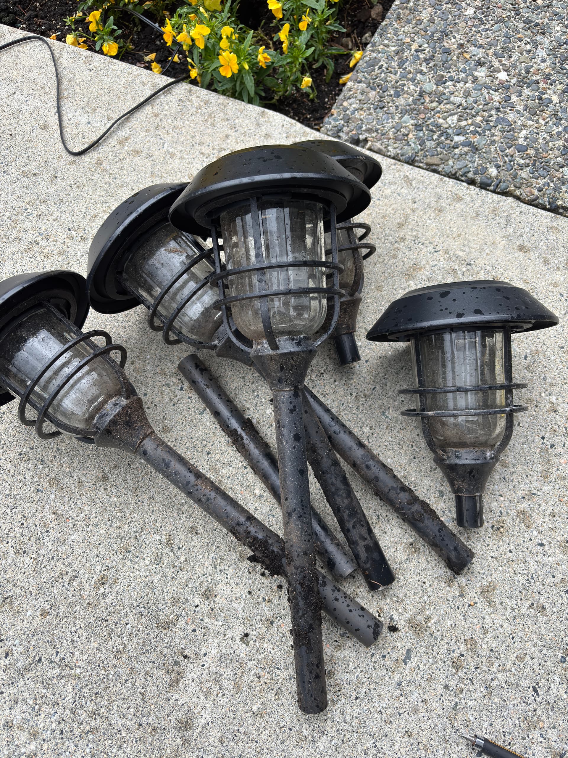 Gallery photos for South Surrey Garden Transforms with Nighttime Lighting: Image #4