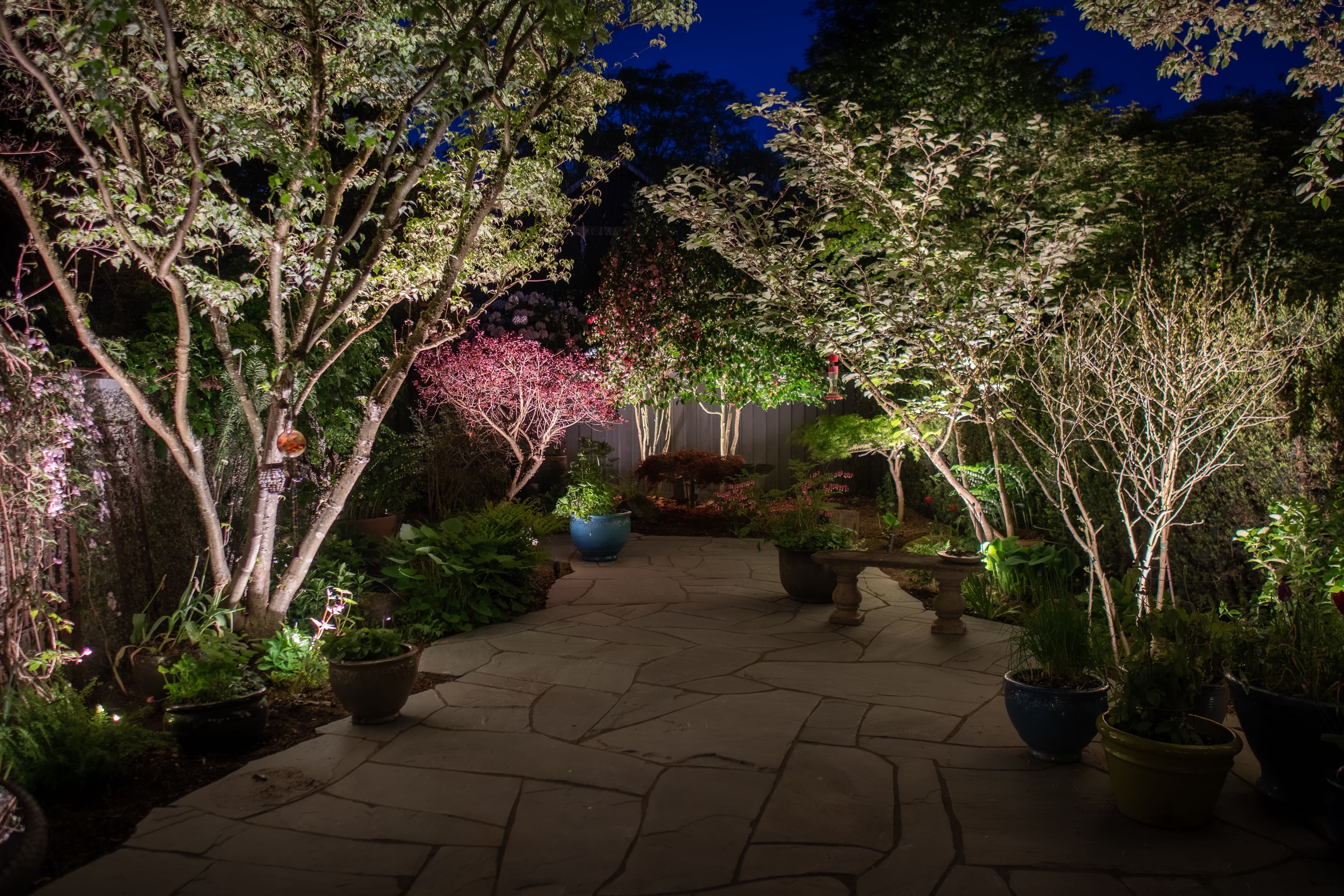 Illuminated garden pathway with trees and vibrant plants at night, creating a serene atmosphere.