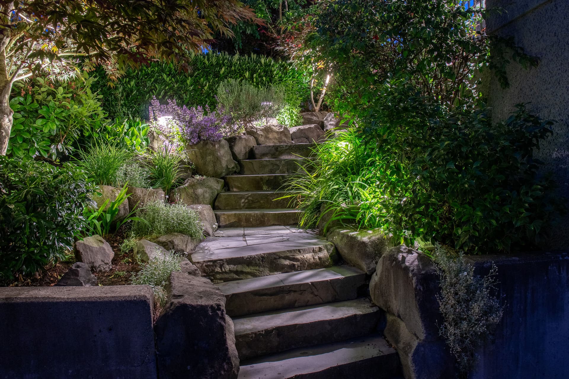Gallery photos for Serene and Safe Landscape Lighting Design in Burnaby: Image #1