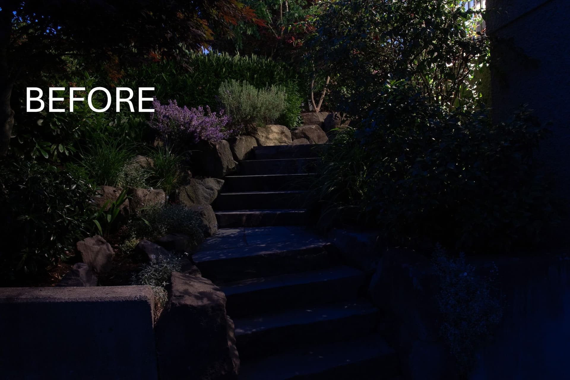 Gallery photos for Serene and Safe Landscape Lighting Design in Burnaby: Image #2