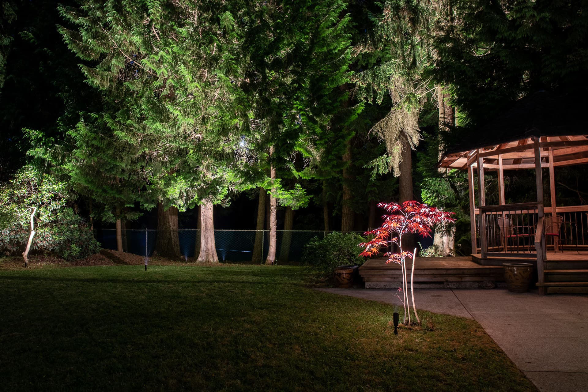 Gallery photos for Backyard Oasis in Coquitlam: Image #3