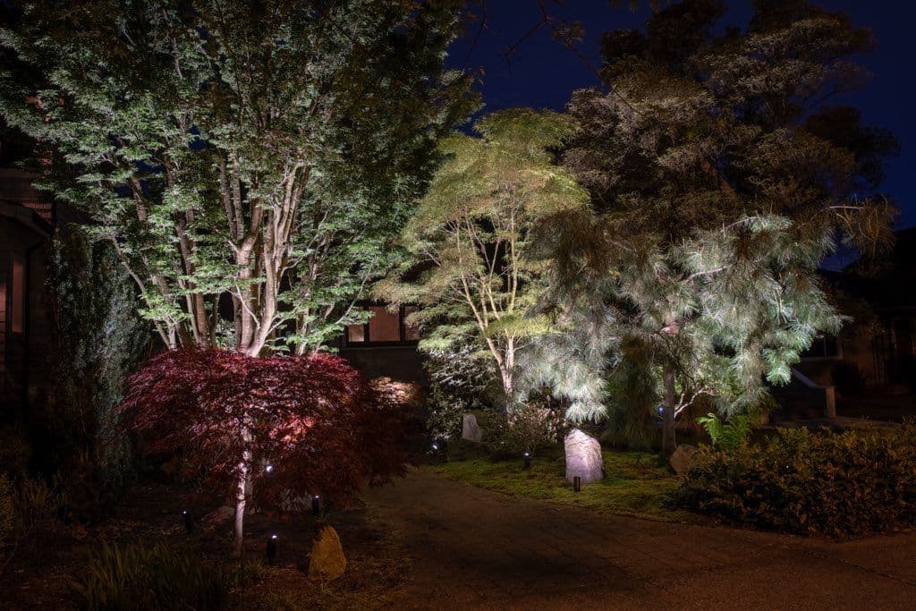 Landscape Lighting for a Mature Garden in Kitsilano