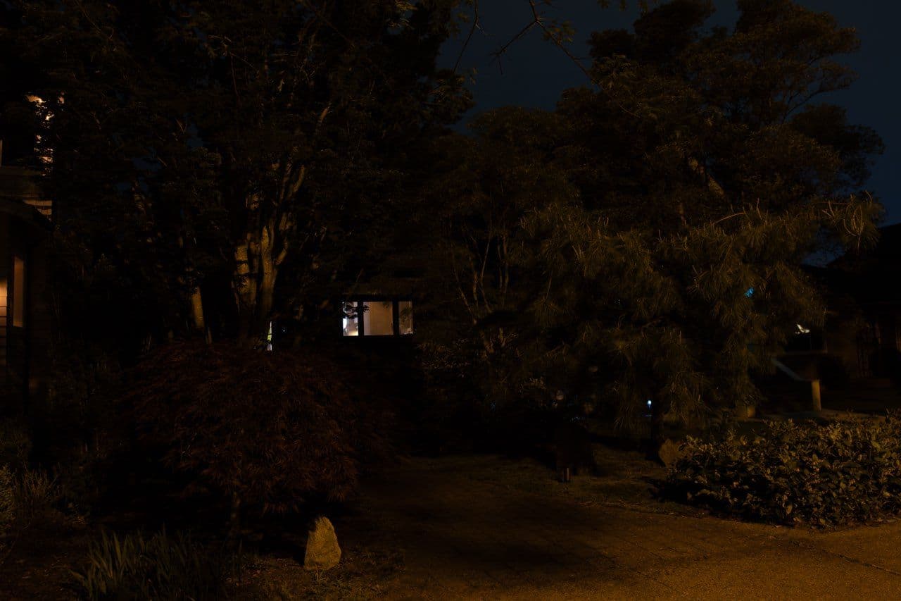 Gallery photos for Landscape Lighting for a Mature Garden in Kitsilano: Image #1