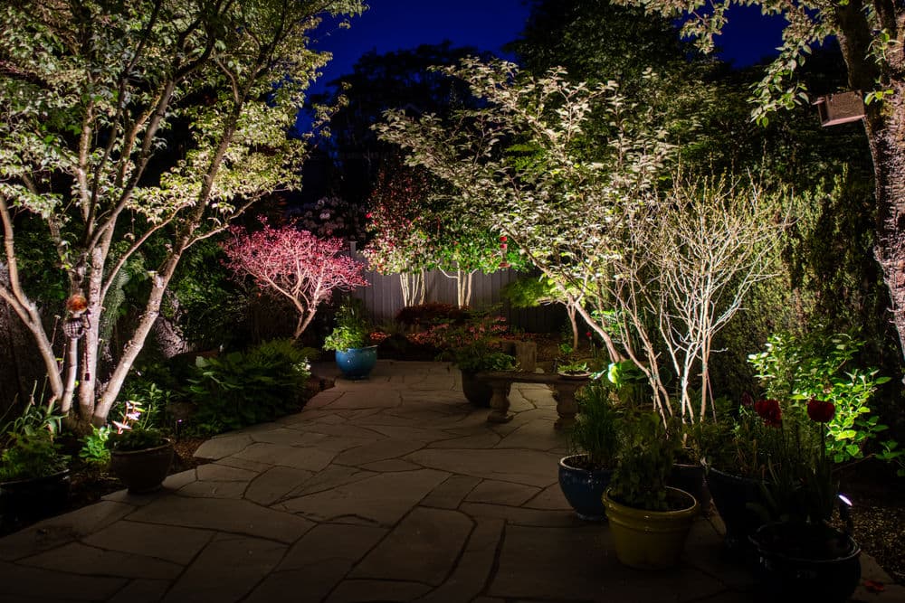 Stunning Exterior Lighting for Kitsilano Garden