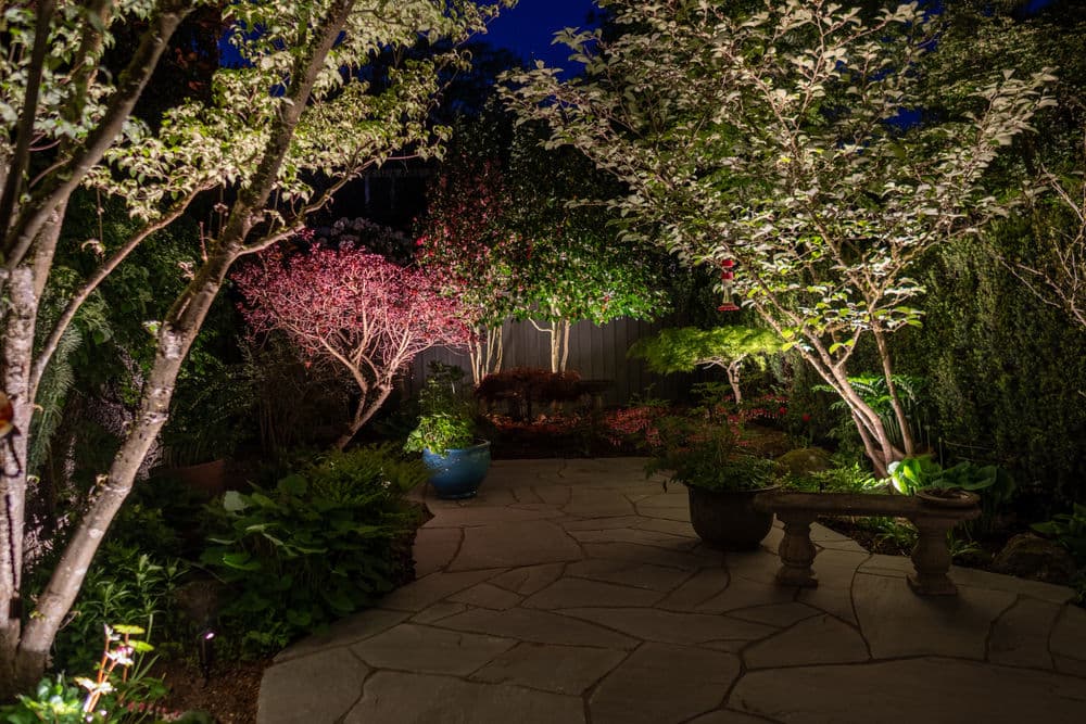 Gallery photos for Stunning Exterior Lighting for Kitsilano Garden: Image #1
